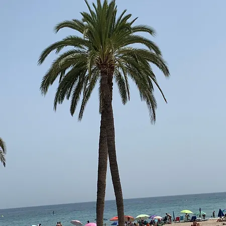 Casa Nido Villajoyosa